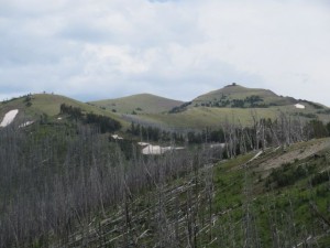 IMG_5608