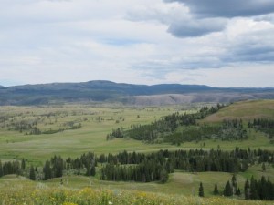 IMG_5622