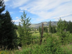 IMG_5653