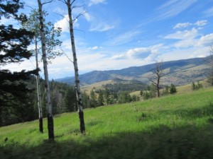 IMG_5658