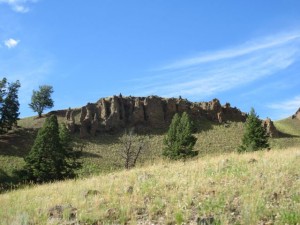 IMG_5660