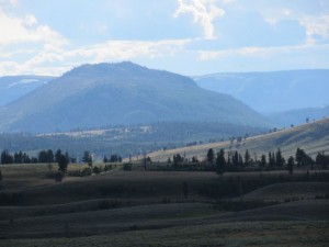 IMG_5665