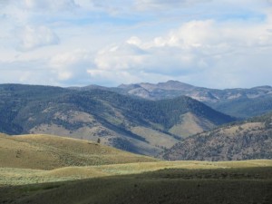 IMG_5669