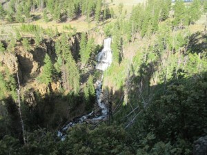 IMG_5680