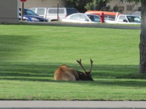 IMG_5700