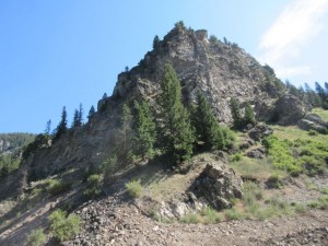 IMG_5737