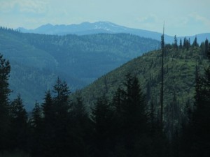 IMG_5755