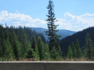 IMG_5758