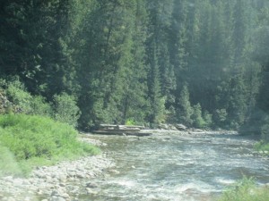 IMG_5768