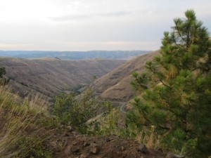 IMG_5791