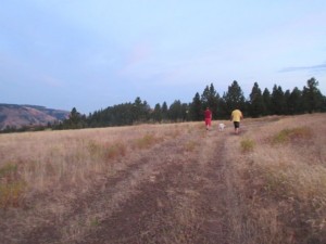 IMG_5812
