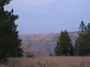 IMG_5817