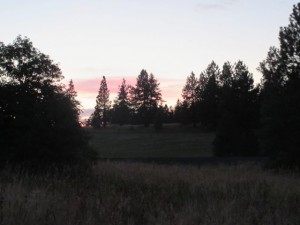 IMG_5821
