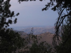 IMG_5826