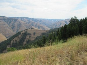 IMG_5835