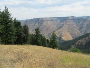 IMG_5836
