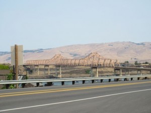 IMG_5856