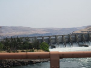 IMG_5857