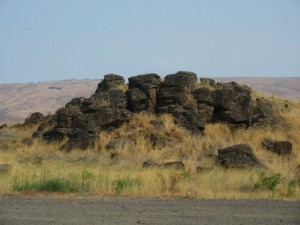 IMG_5859
