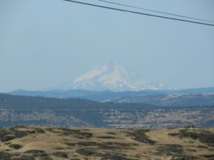 IMG_5862