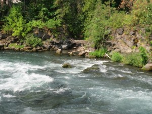 IMG_5881