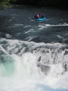 IMG_5893