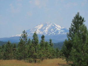 IMG_5903