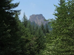 IMG_5906
