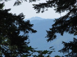 IMG_5935