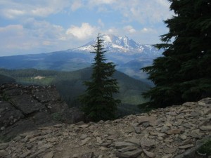 IMG_5954