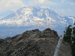 IMG_5971