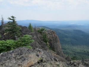 IMG_5972