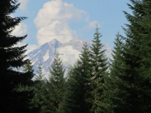 IMG_6091