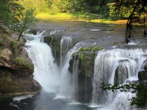 IMG_6106