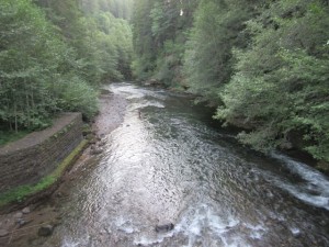 IMG_6120