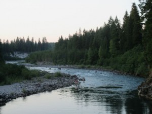 IMG_6142