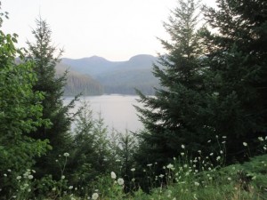 IMG_6146