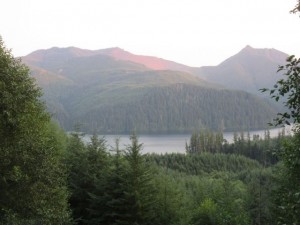 IMG_6150