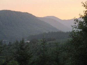 IMG_6153