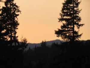 IMG_6157