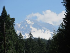IMG_6178