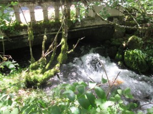IMG_6183
