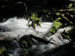 IMG_6191