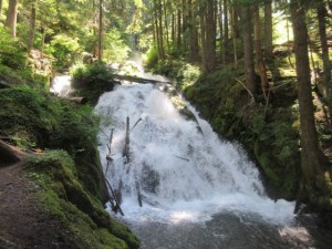 IMG_6212