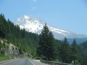 IMG_6253