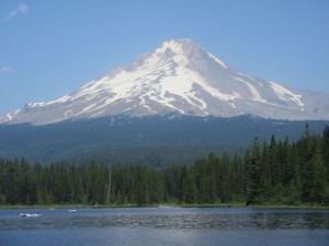 IMG_6259