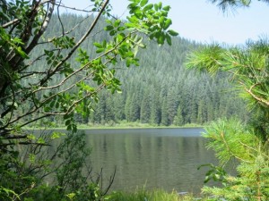 IMG_6263