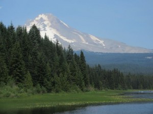 IMG_6320