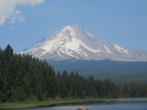 IMG_6323