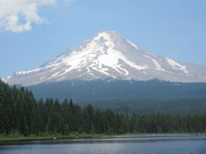 IMG_6325